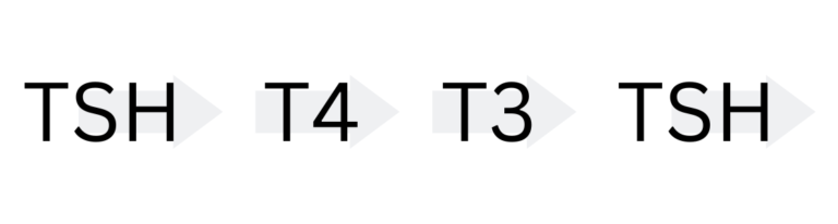 T3T4